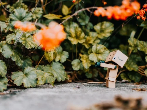 Rüyada Alnındaki Sivilce: Gizemli Mesajı Çözün