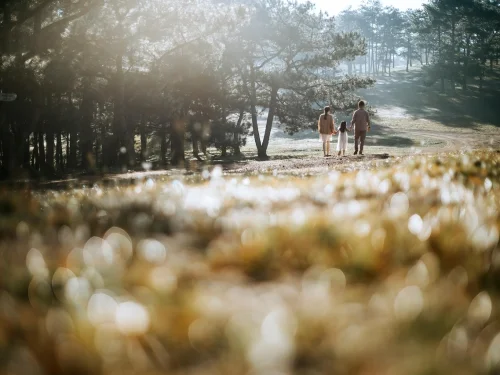 Rüyada Alt Dişin Kopması ve Ruhun Sessiz Dönüşümü