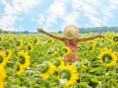 Rüyada Sizden Et İstenmesi ve Ruhsal Çağrı