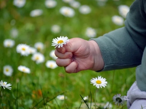 Rüyada Birinin Seni Düşünmesi: Gizemli Mesajlar ve İçsel Çağrılar