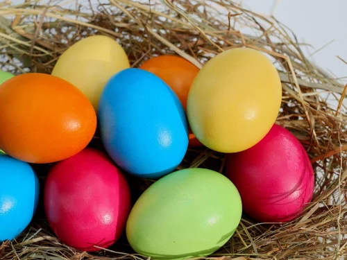 Burnundan Balık Çıkması: Gizemli Bir Rüya Tabiri