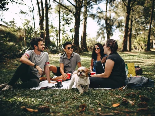 Rüyada Kedinin Isırması: Gizli Tehlike mi, İçsel Güç mü?