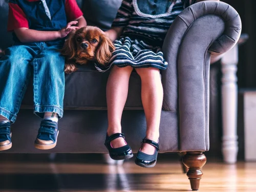 Rüyada Sadık Dosttan Beklenmedik Haber