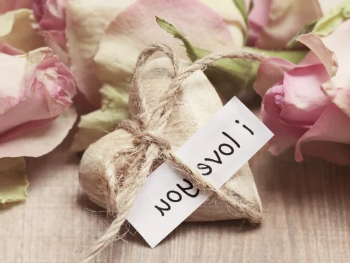 Gizemli Zehirlenme: Köpeğinizin Rüyası Ne Anlatıyor?