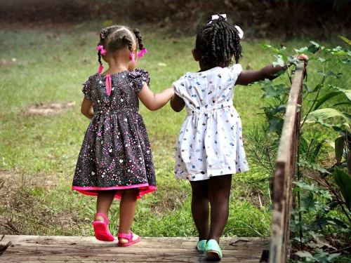 Rüyada Kurt Kuzu Yiyor: Korkmayın, Anlamı Bu!