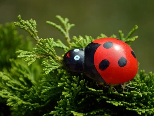 Rüyada Merdiveniniz Koptu: Kariyerinizde Çıkmaz mı?