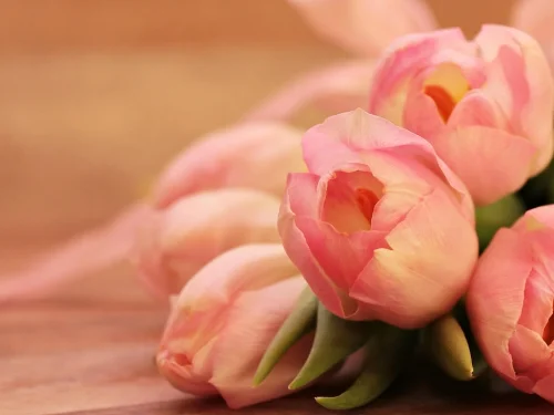 Rüyada Sol Ayakkabı Kayboldu: Yolculuğunuzu Yeniden Keşfedin!